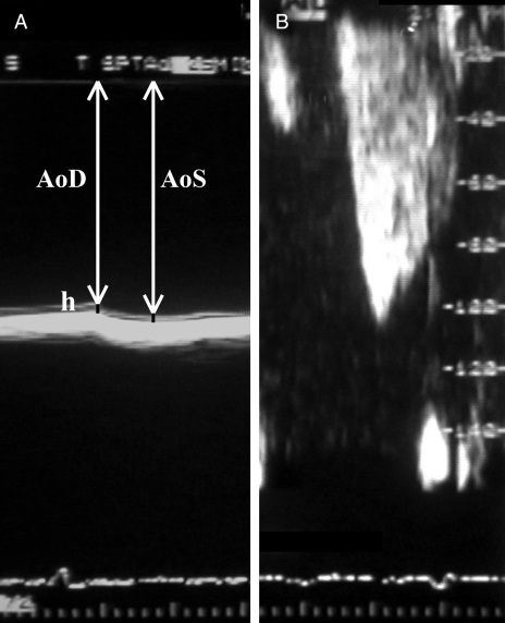 Figure 1)