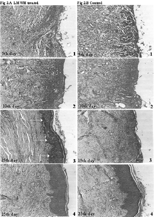 Fig. 2a,b