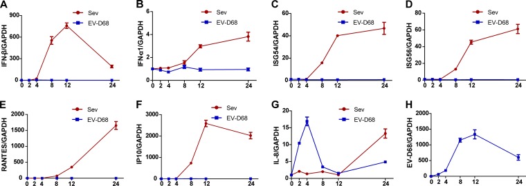 FIG 1