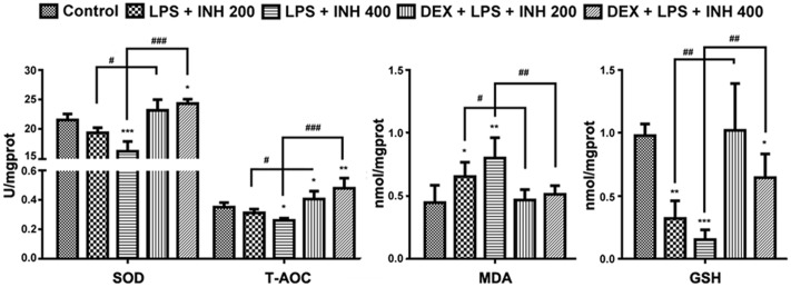 FIGURE 4