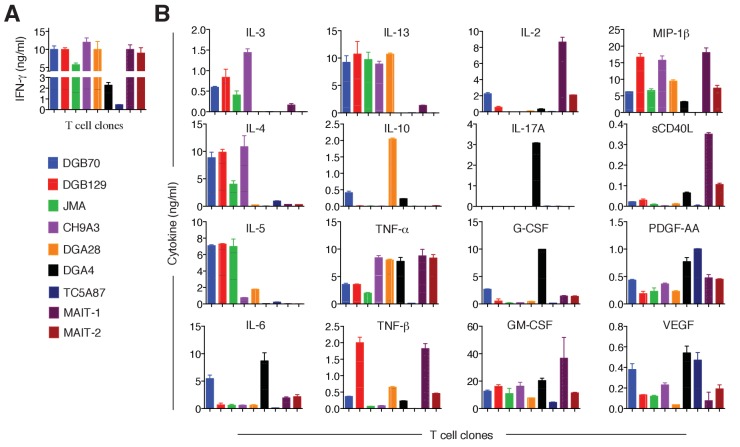 Figure 7—figure supplement 1.