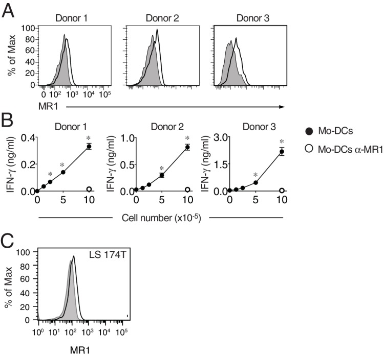 Figure 8—figure supplement 1.