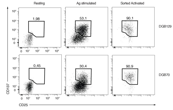 Figure 6—figure supplement 1.