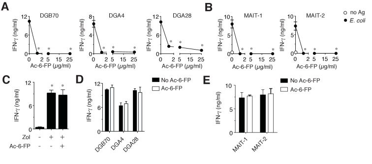 Figure 4—figure supplement 1.