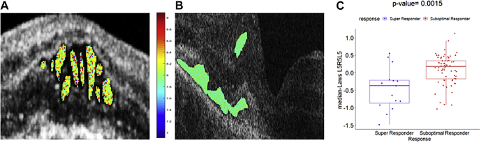 Figure 2