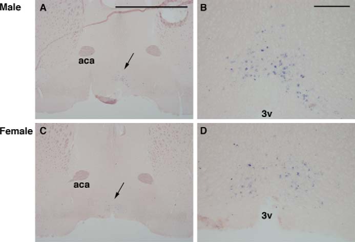 FIGURE 10.