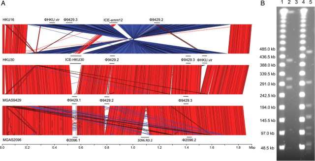 Figure 4.