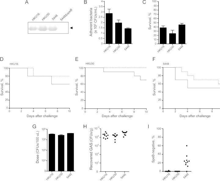 Figure 6.