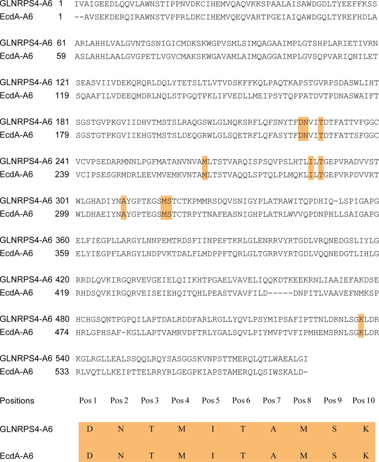 FIG 6