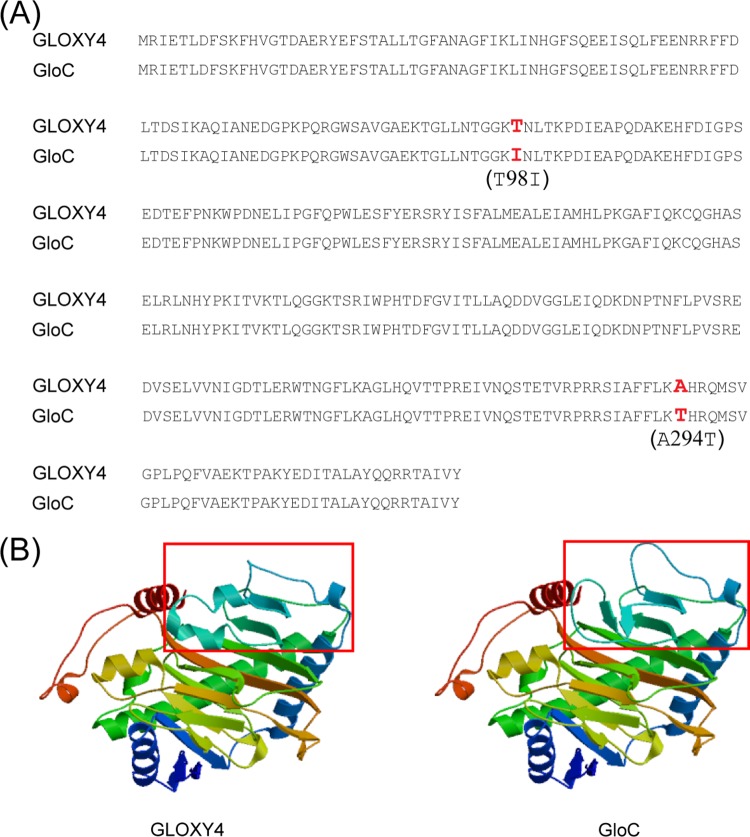 FIG 5