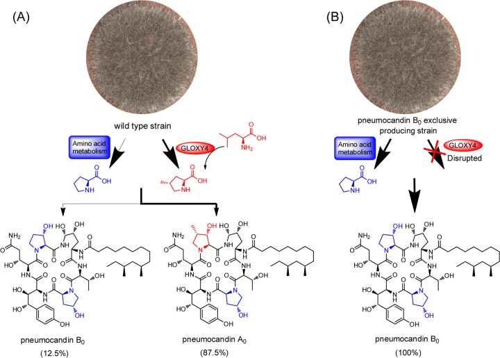 FIG 4