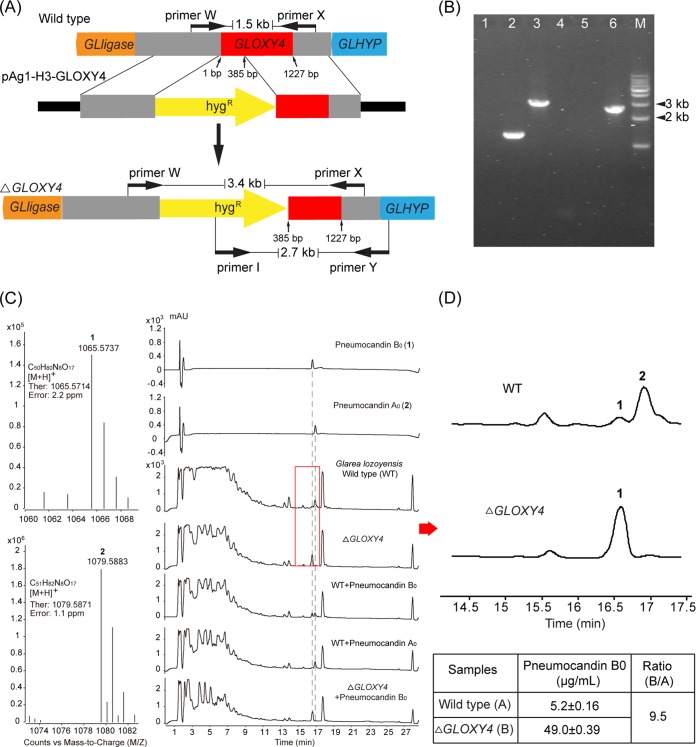 FIG 3