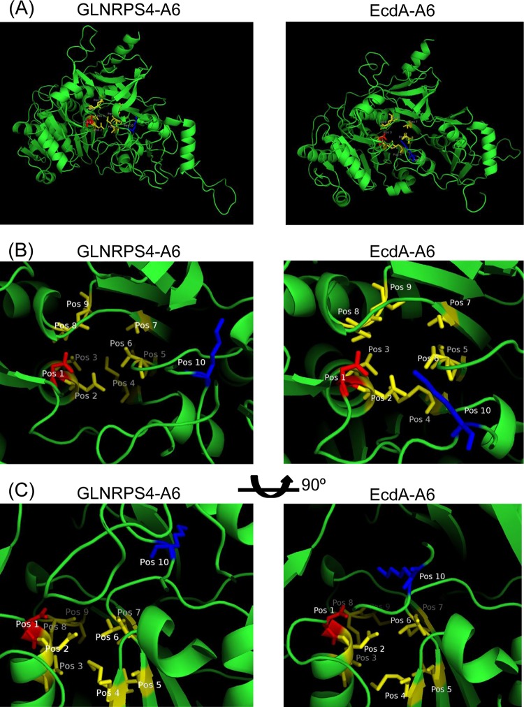 FIG 7