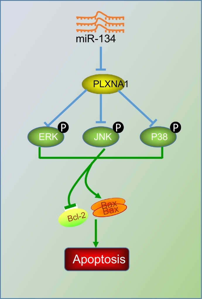 Fig. 10