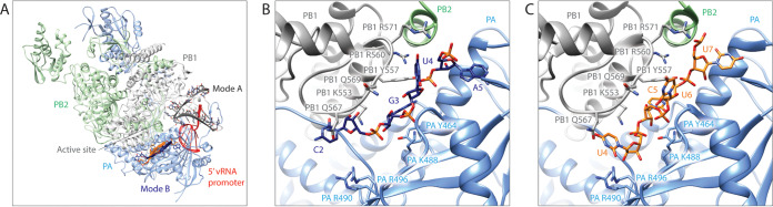 FIG 1