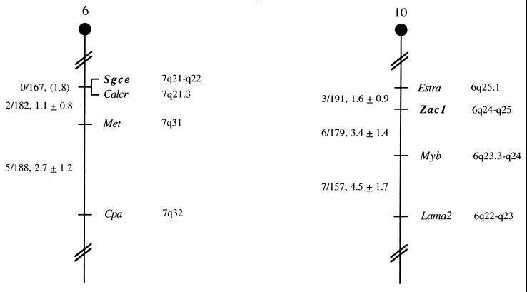 FIG. 5