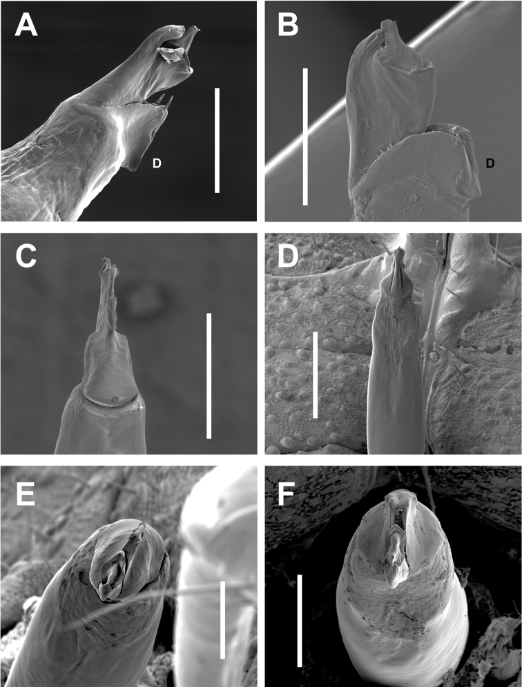 Figure 9.