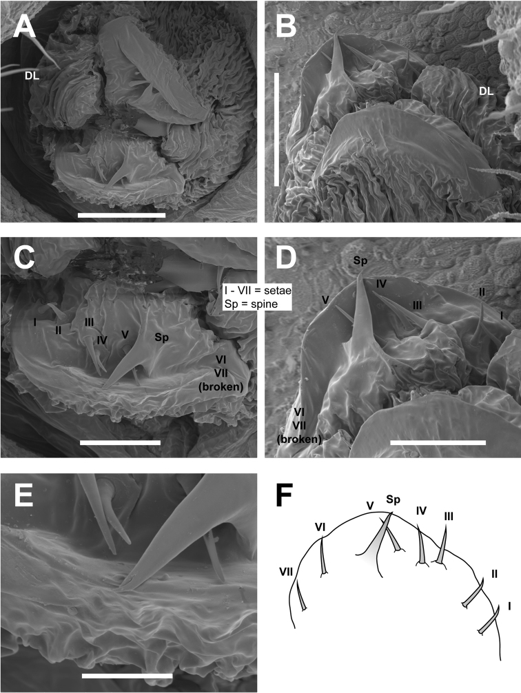 Figure 10.