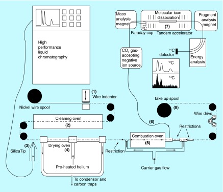 Figure 7. 