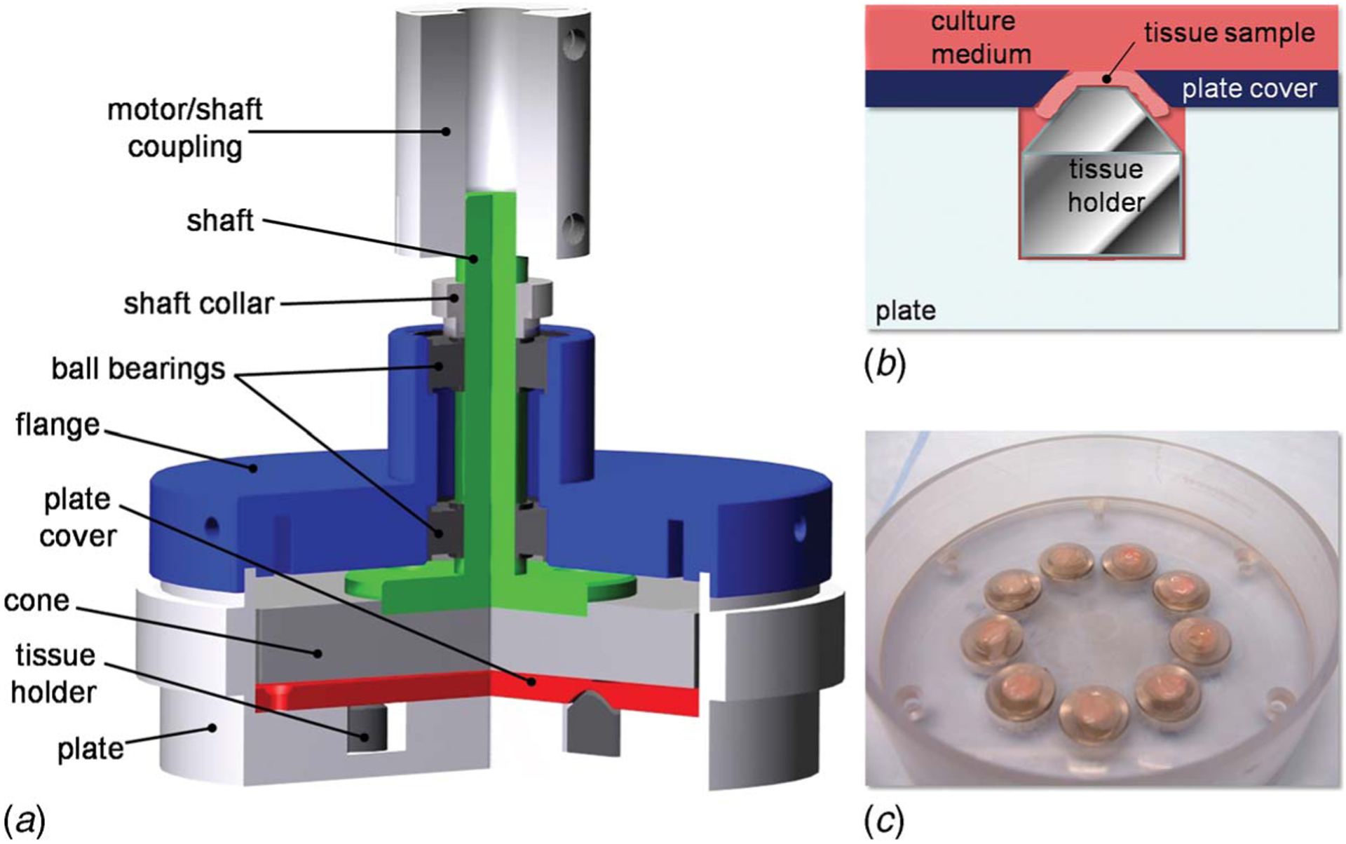 Fig. 3