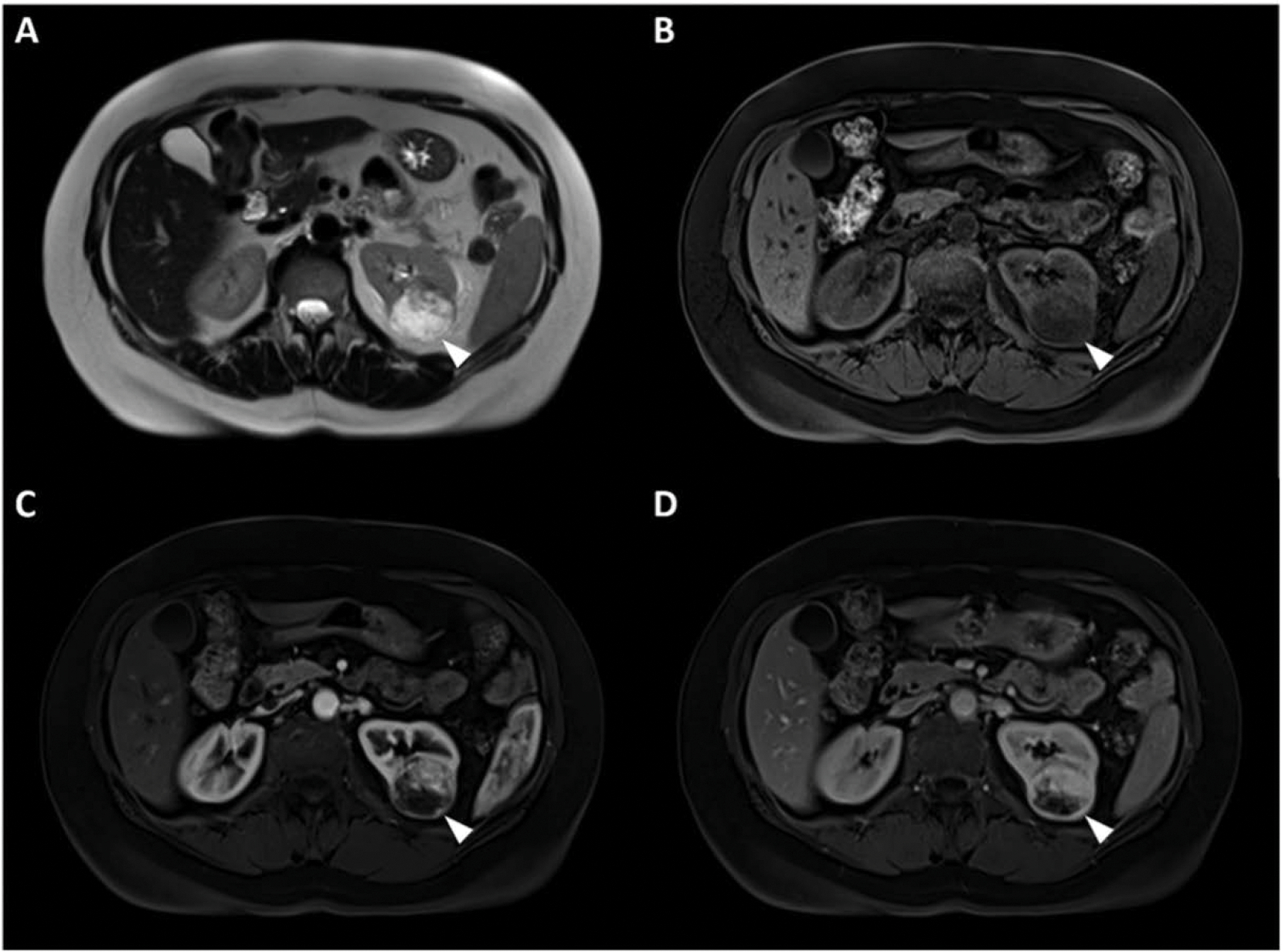 Fig. 6.