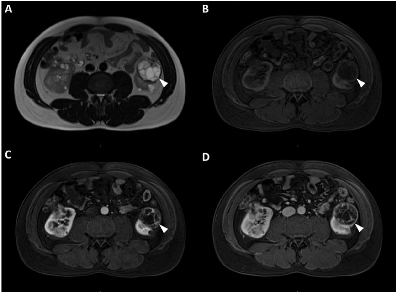 Fig. 5.