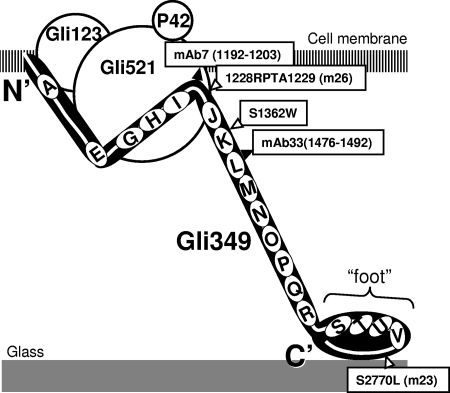 FIG. 3.