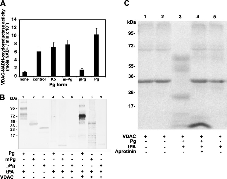 FIGURE 7.