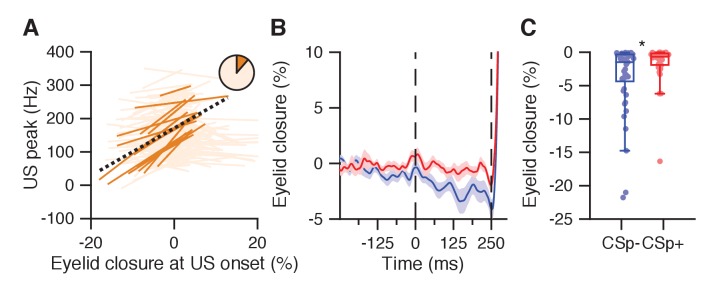 Figure 6—figure supplement 1.