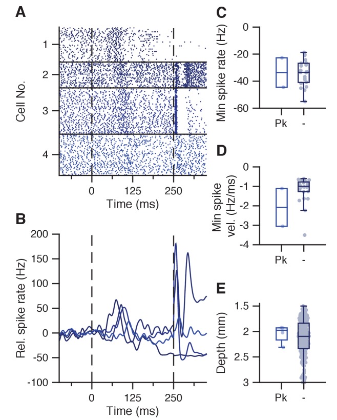 Figure 4—figure supplement 1.