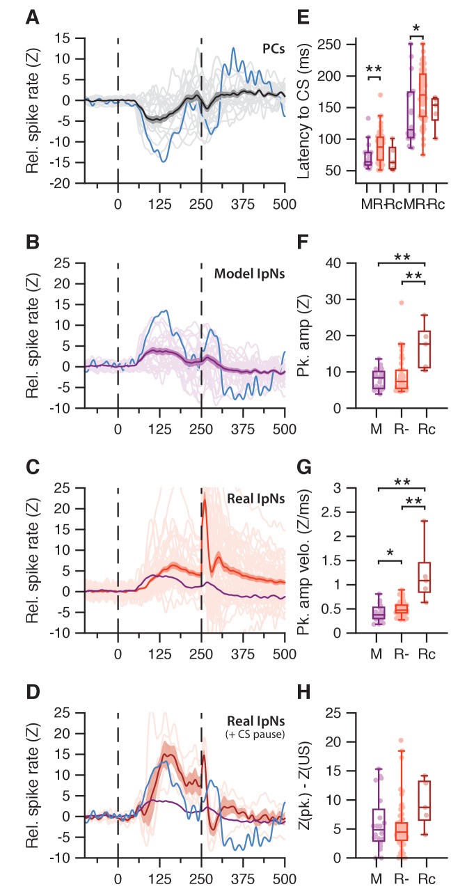 Figure 5—figure supplement 1.