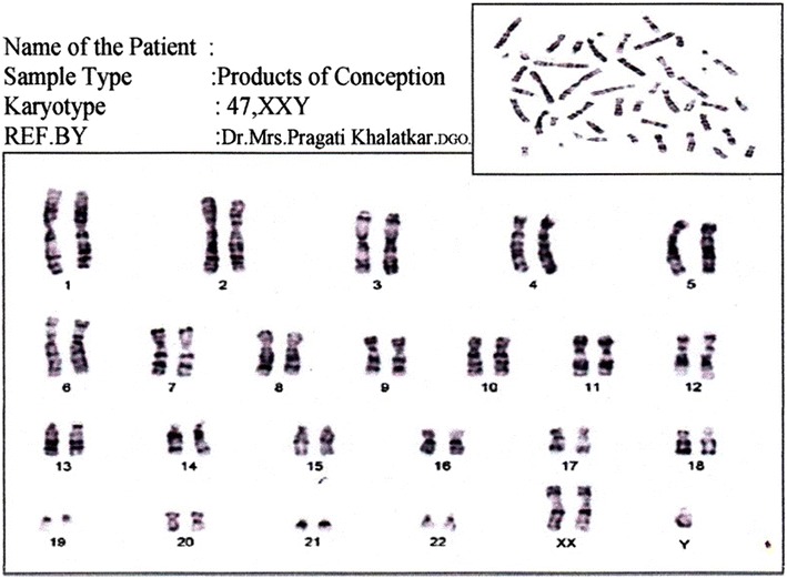 Fig. 3