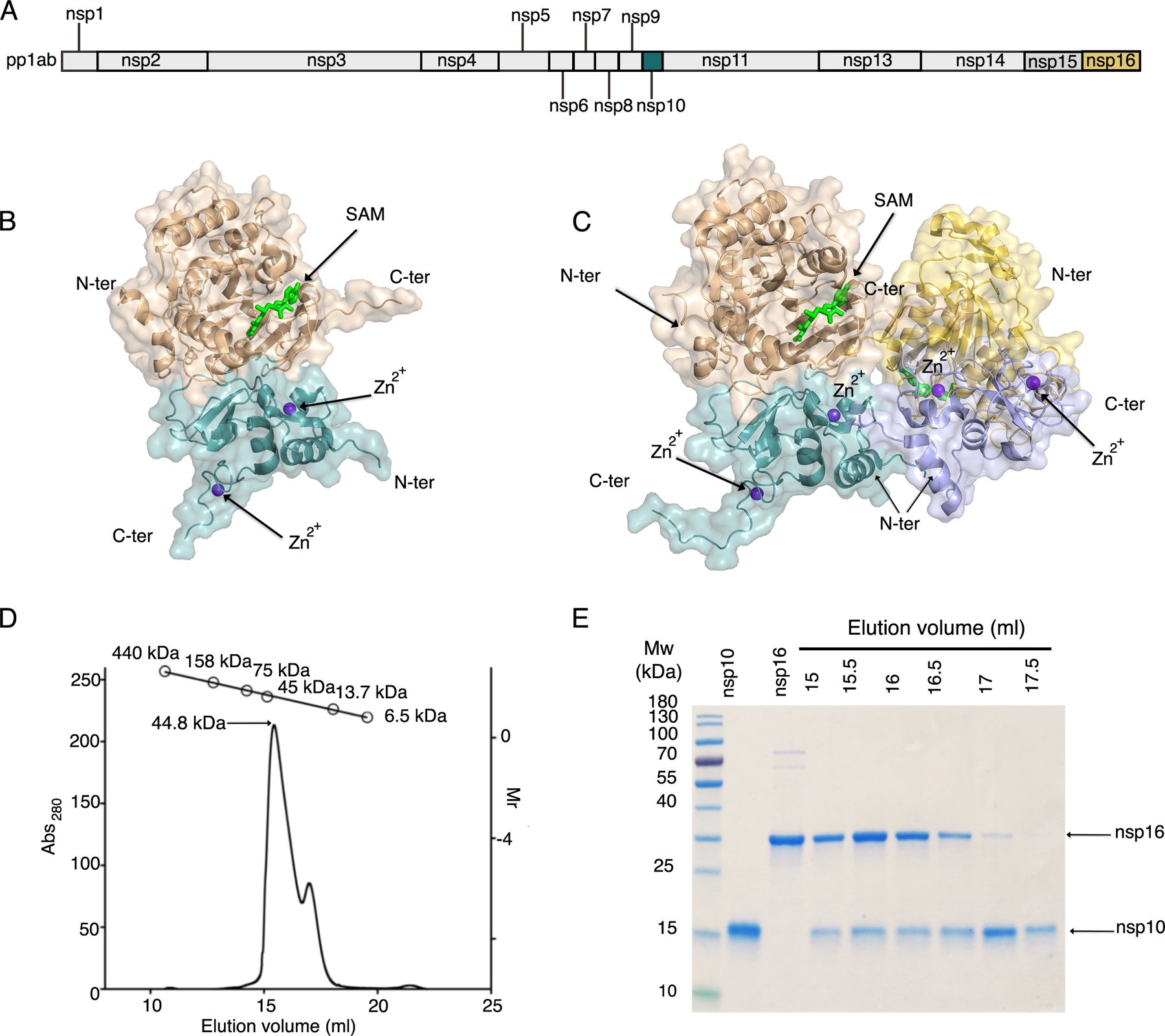 Fig. 1.