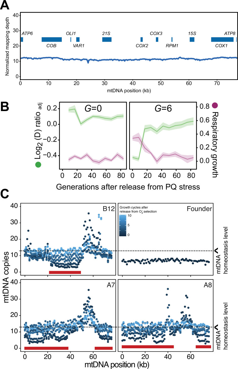 Figure 3—figure supplement 2.