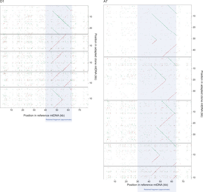 Figure 6—figure supplement 3.