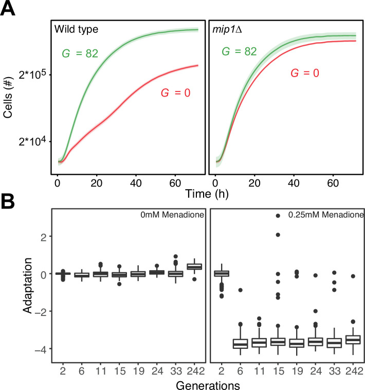 Figure 3—figure supplement 3.