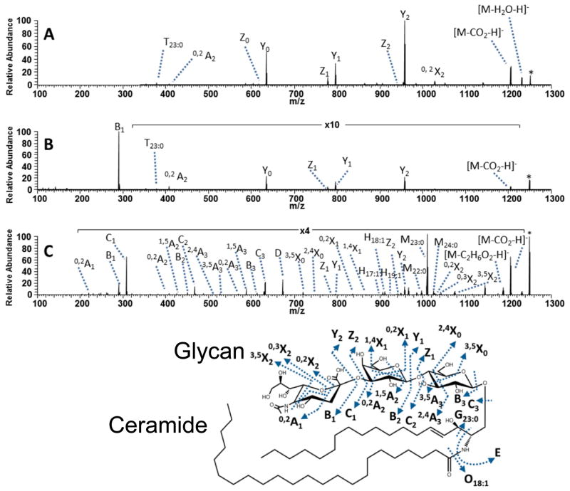 Figure 14