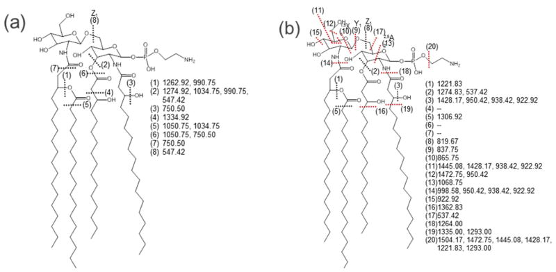 Figure 13