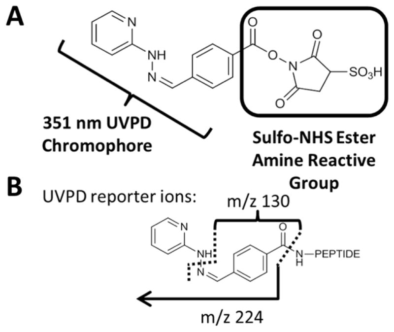 Figure 28