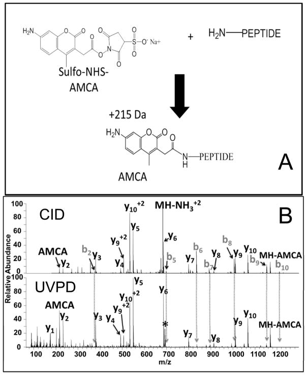 Figure 24