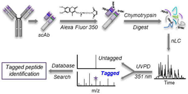 Figure 26