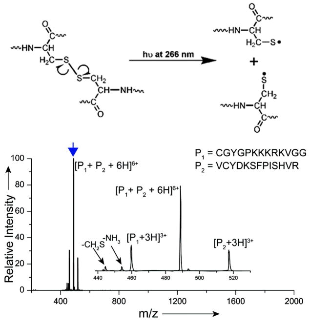 Figure 23