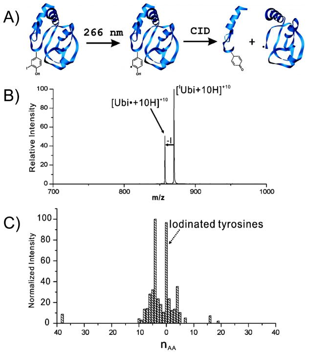 Figure 22