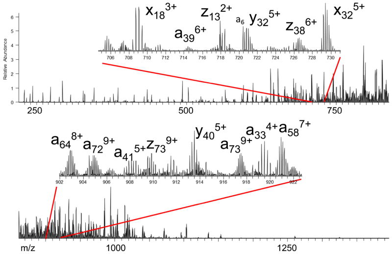 Figure 19