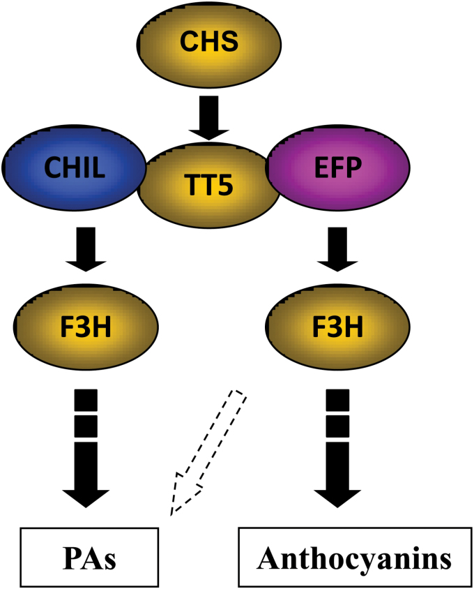 Fig. 9.