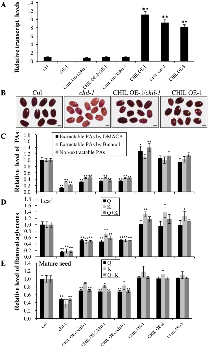 Fig. 4.