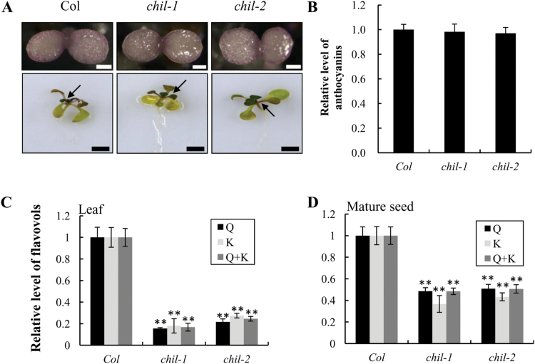 Fig. 3.