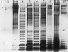 FIG. 7