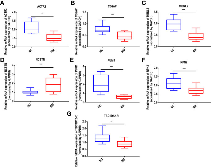 Figure 6