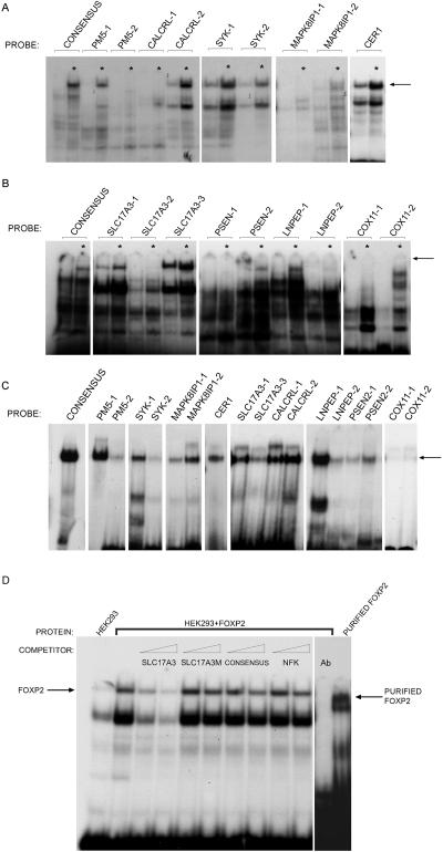 Figure  6. 